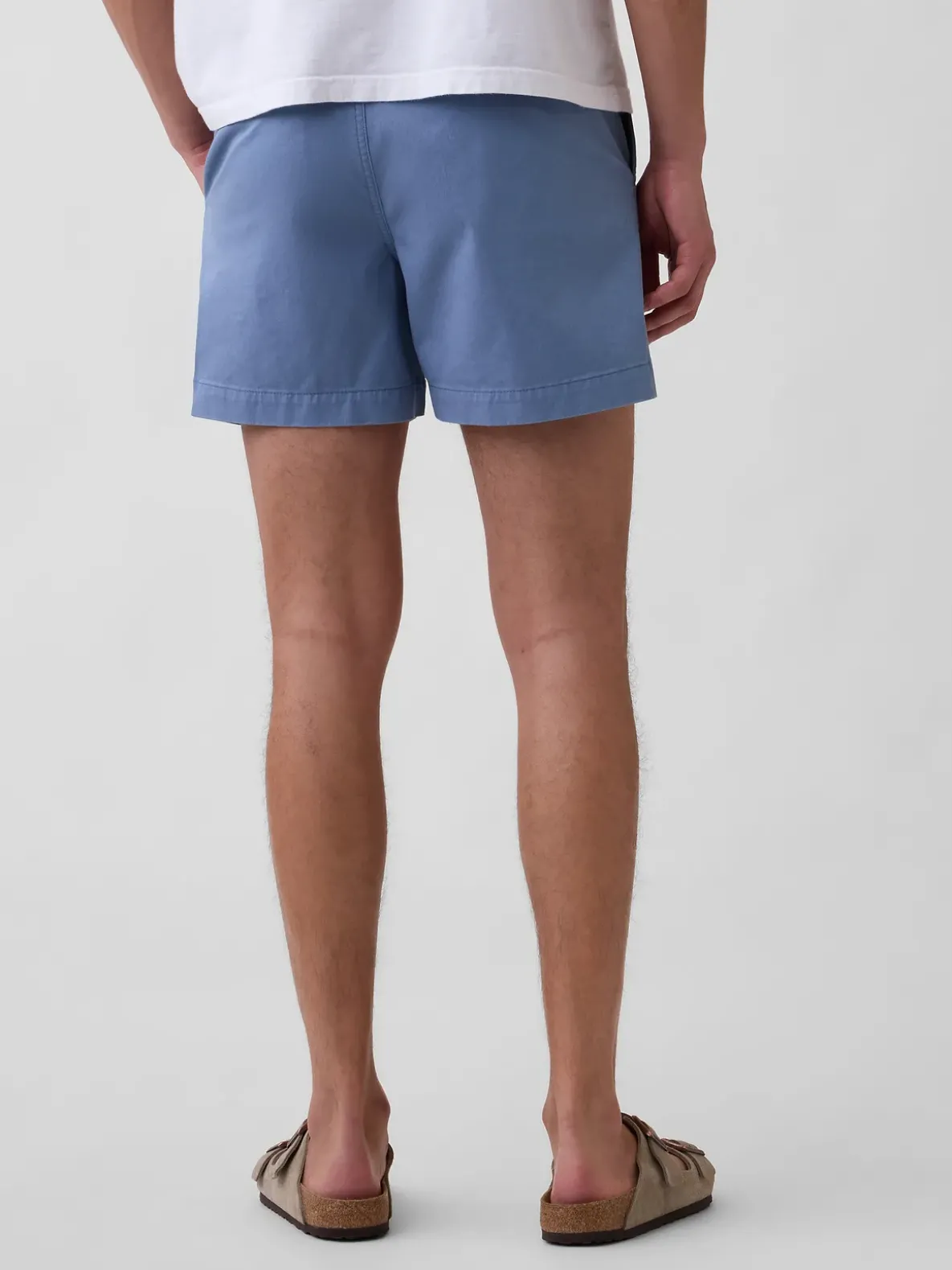 5.5" Relaxed Shorts