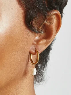 Admiral Row Gold Single Pearl Huggie Earrings
