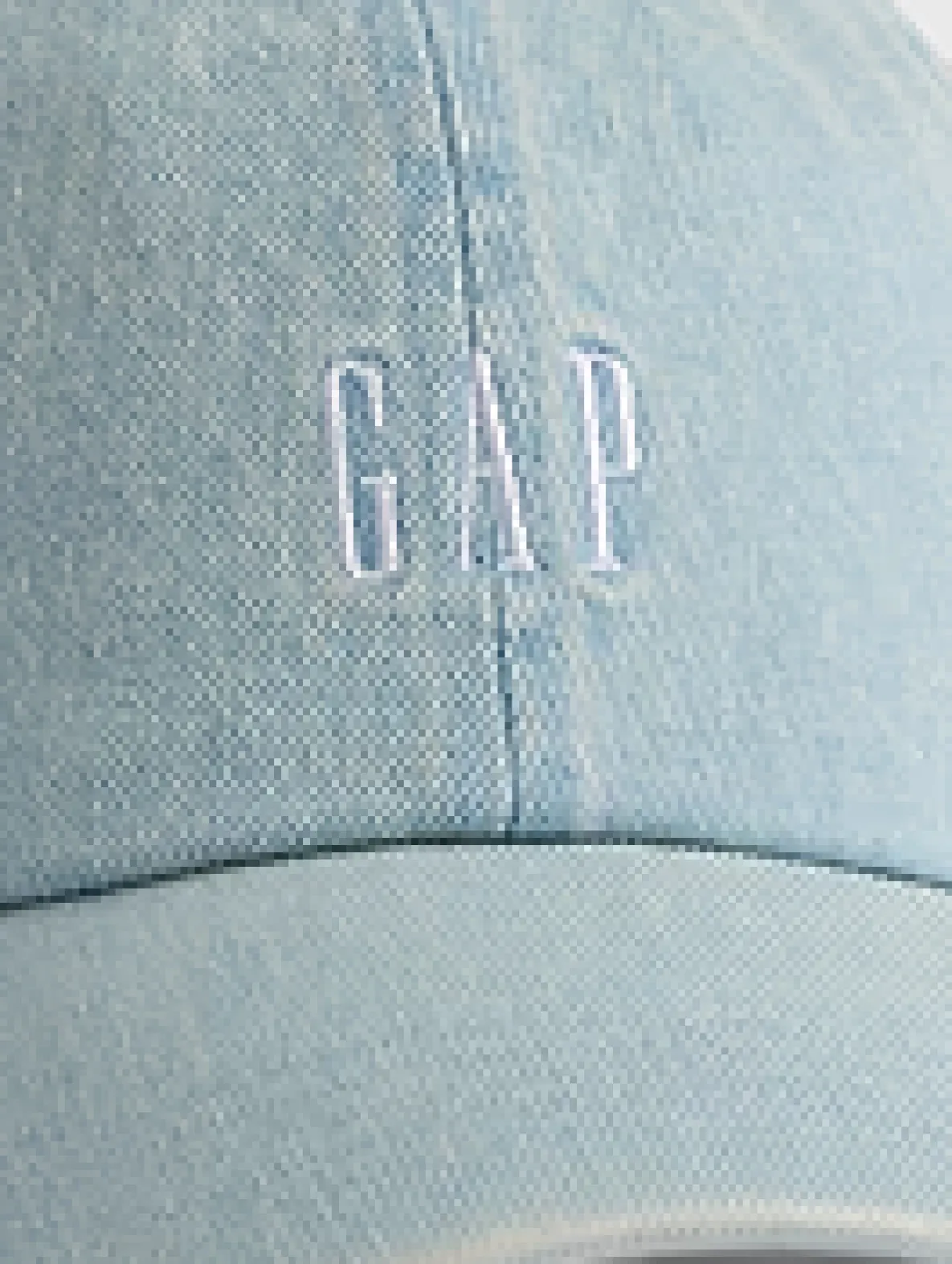 Adult Gap Logo Baseball Hat