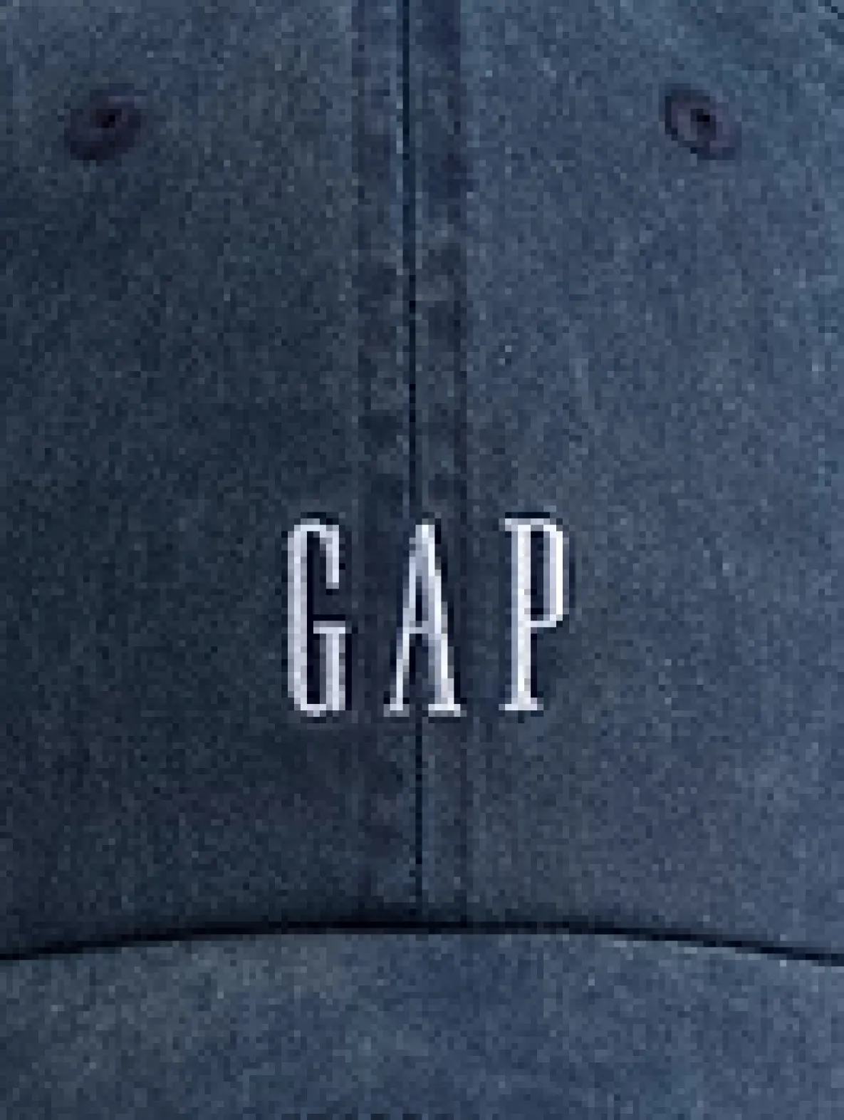 Adult Gap Logo Baseball Hat