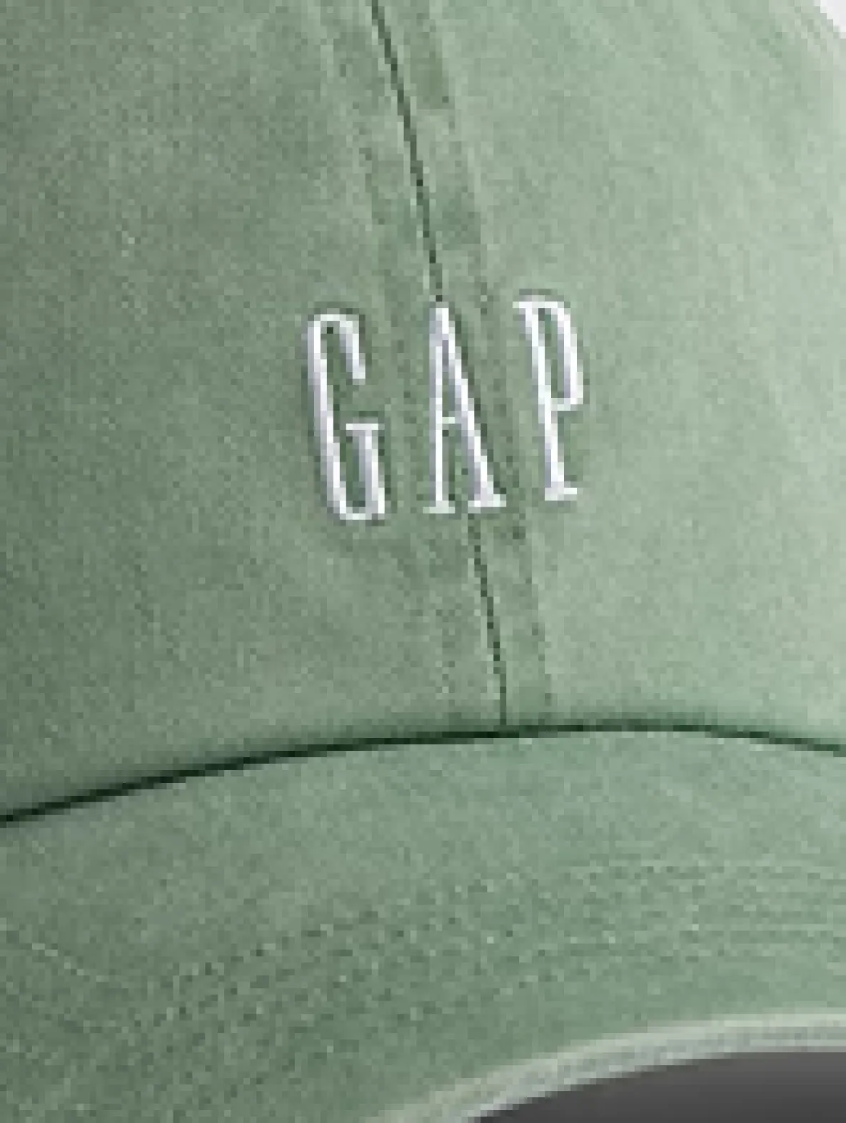 Adult Gap Logo Baseball Hat