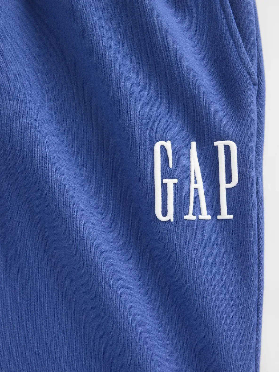 Adult Heavyweigtht Relaxed Logo Sweatpants