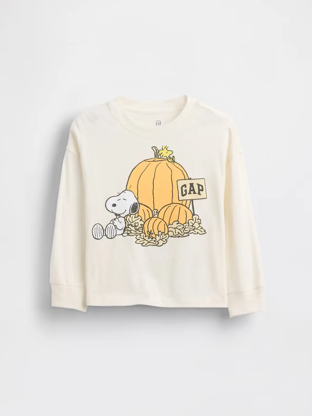Baby & Toddler Peanuts Thanksgiving Graphic T-Shirt