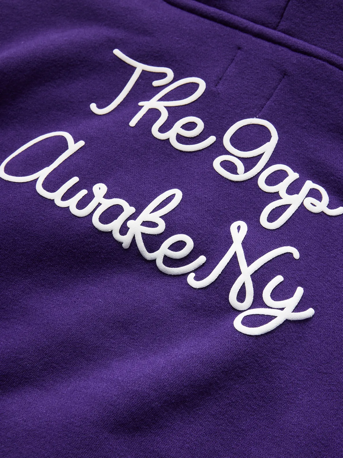 Gap × Awake NY Toddler VintageSoft Logo Hoodie