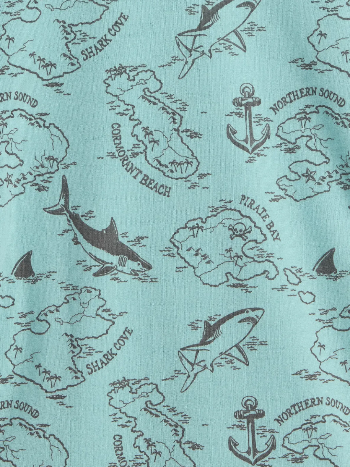 Kids Organic Brushed Cotton Pirate Map PJ Short Set