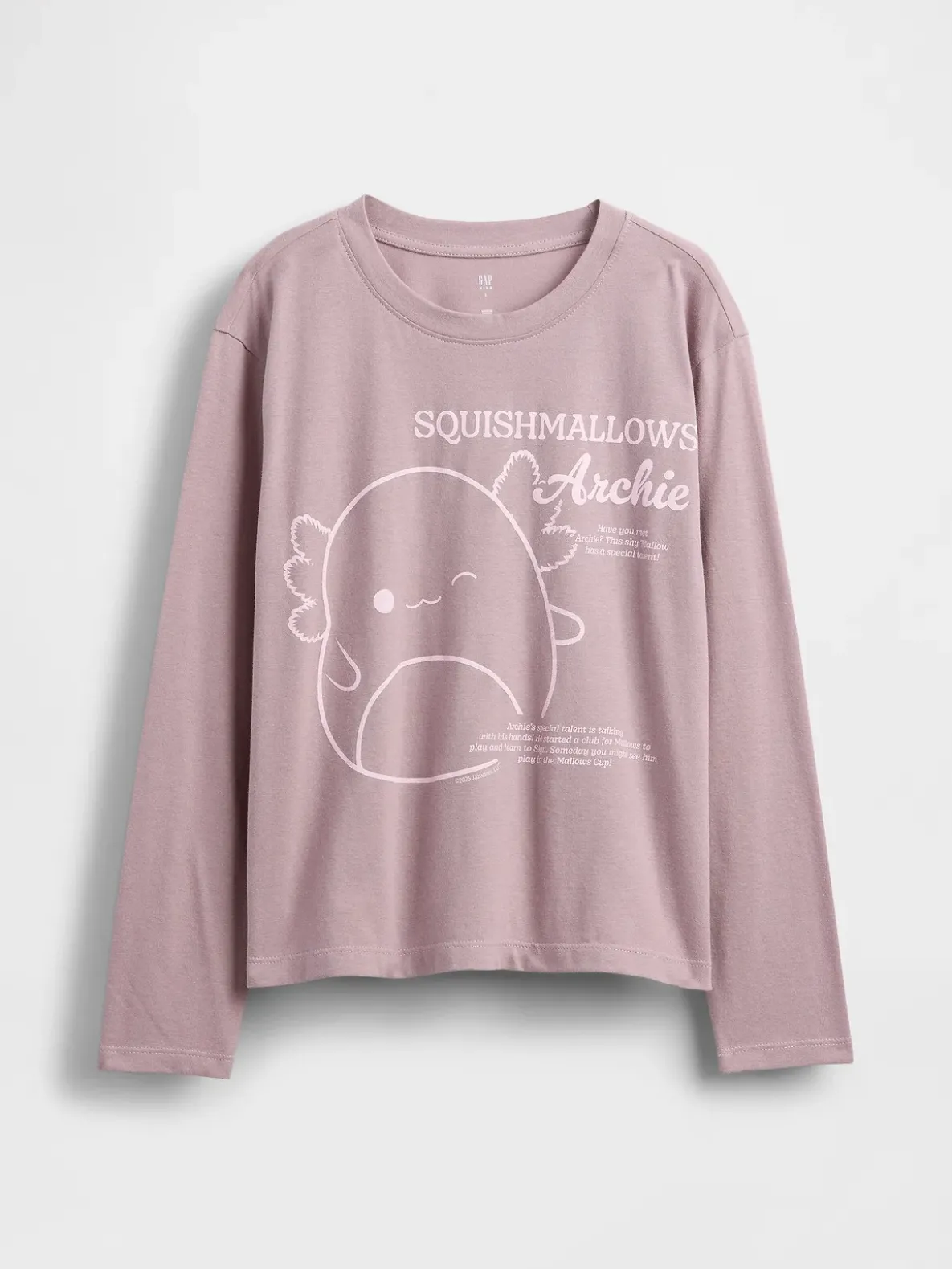 Kids Squishmallow Oversized Graphic T-Shirt