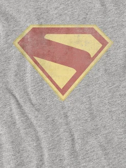 Kids Superman 2025 Logo Full Color Distress Graphic T-Shirt