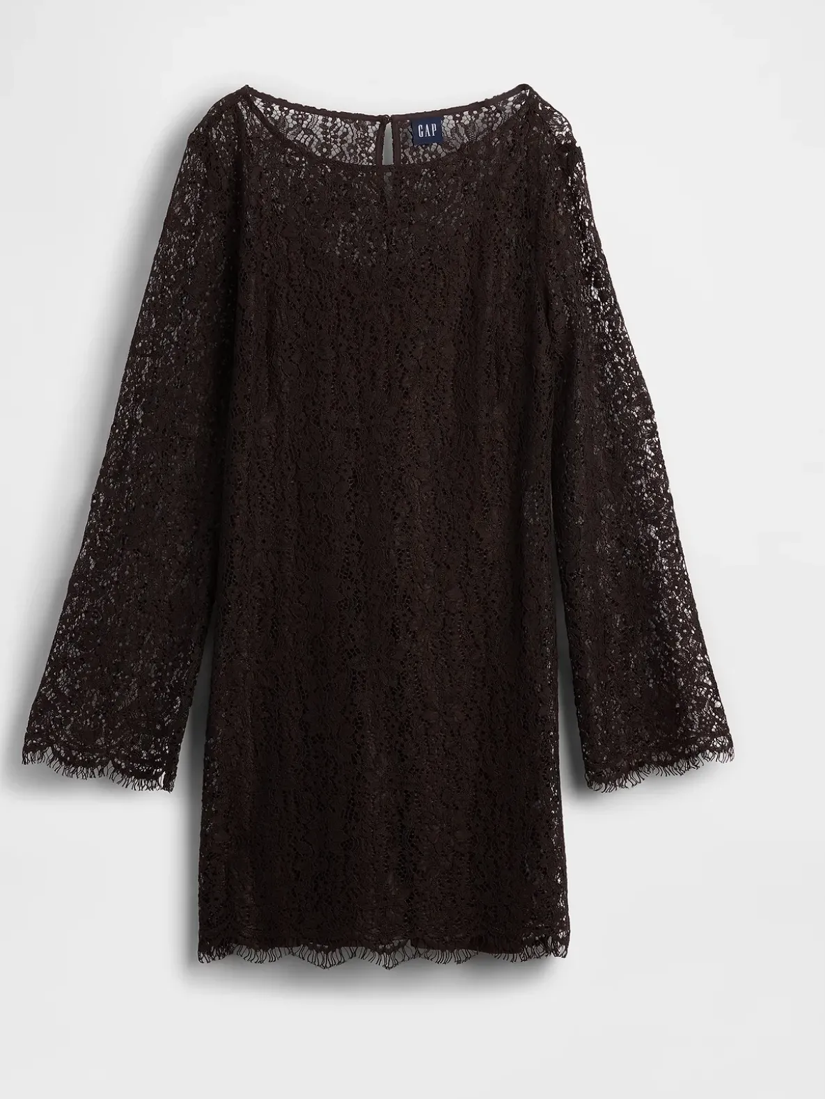Lace Mini Shift Dress