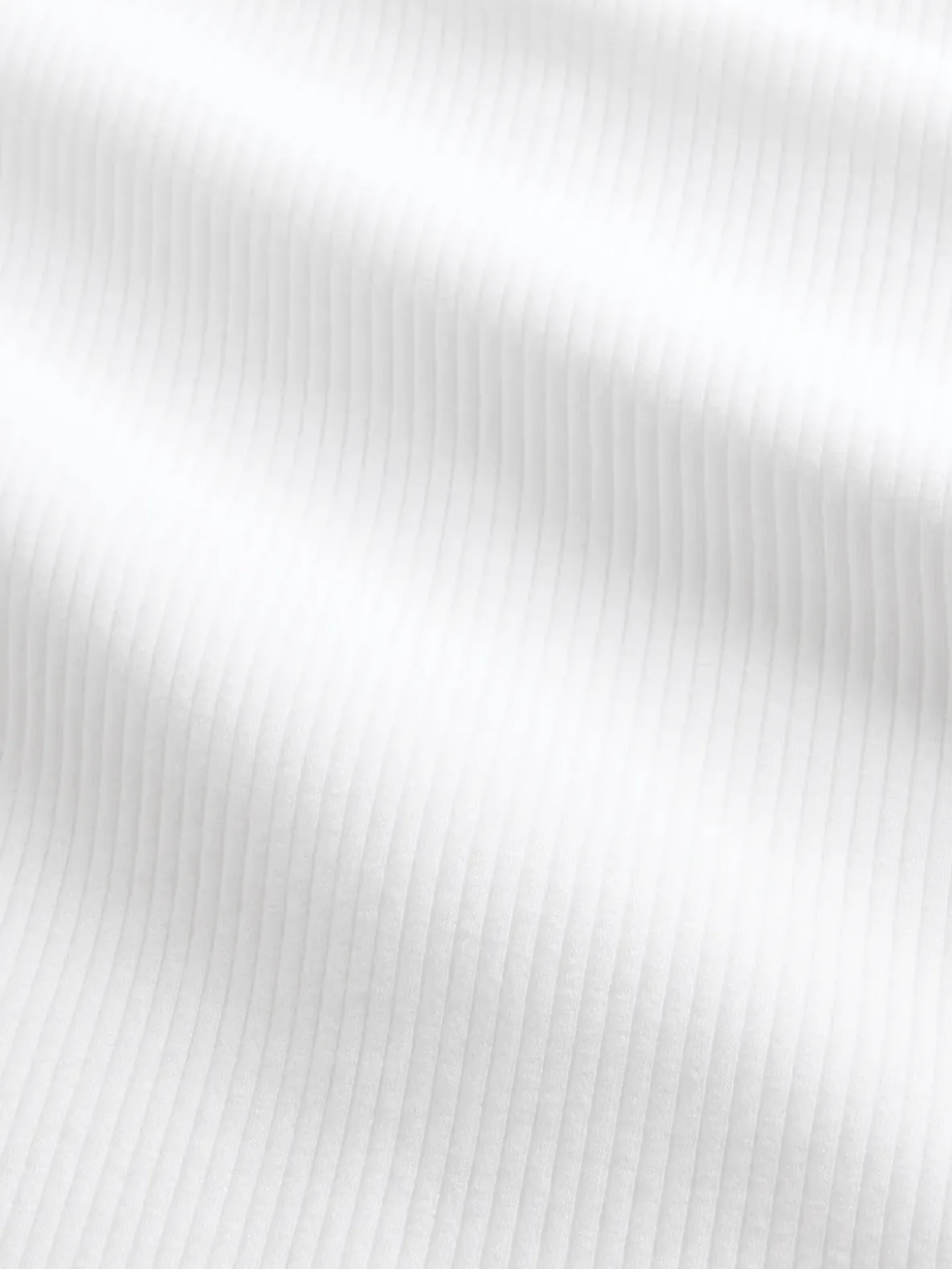 Modern Compact Rib Crop T-Shirt