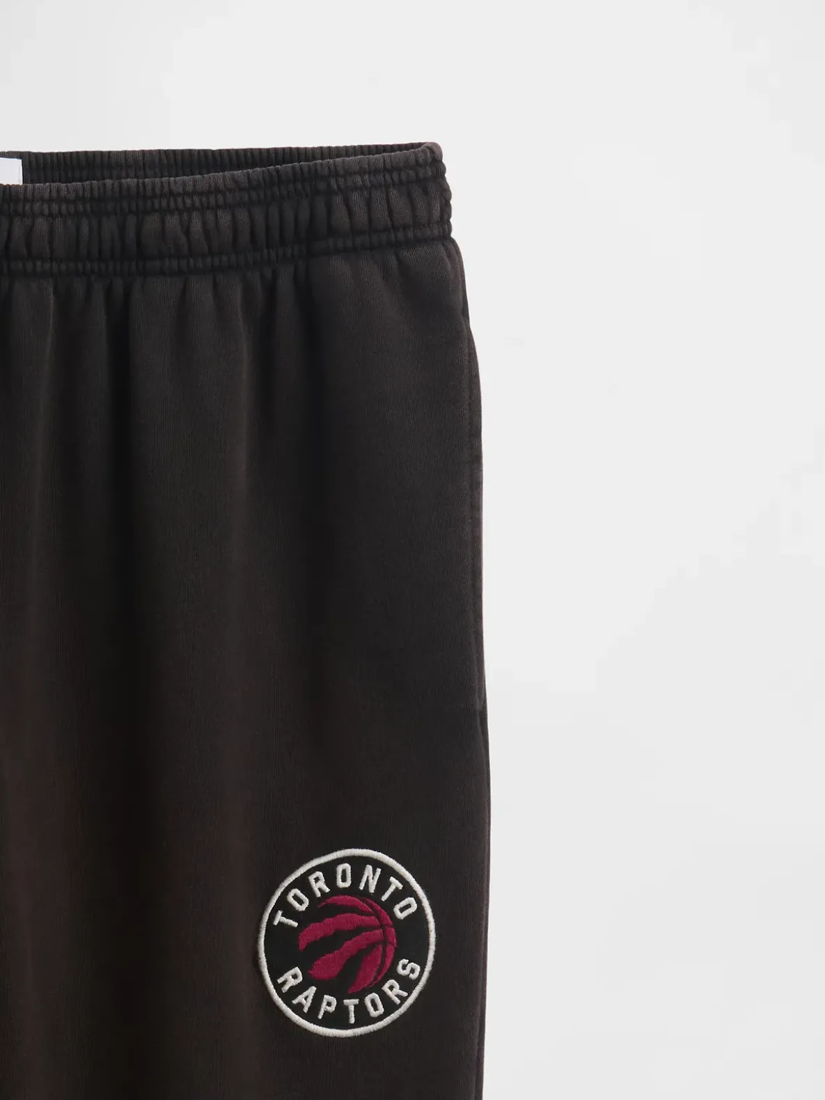 NBA Toronto Raptors Logo Heavyweight Joggers
