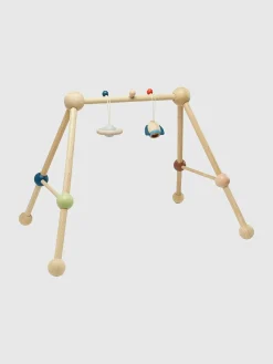 Play Gym