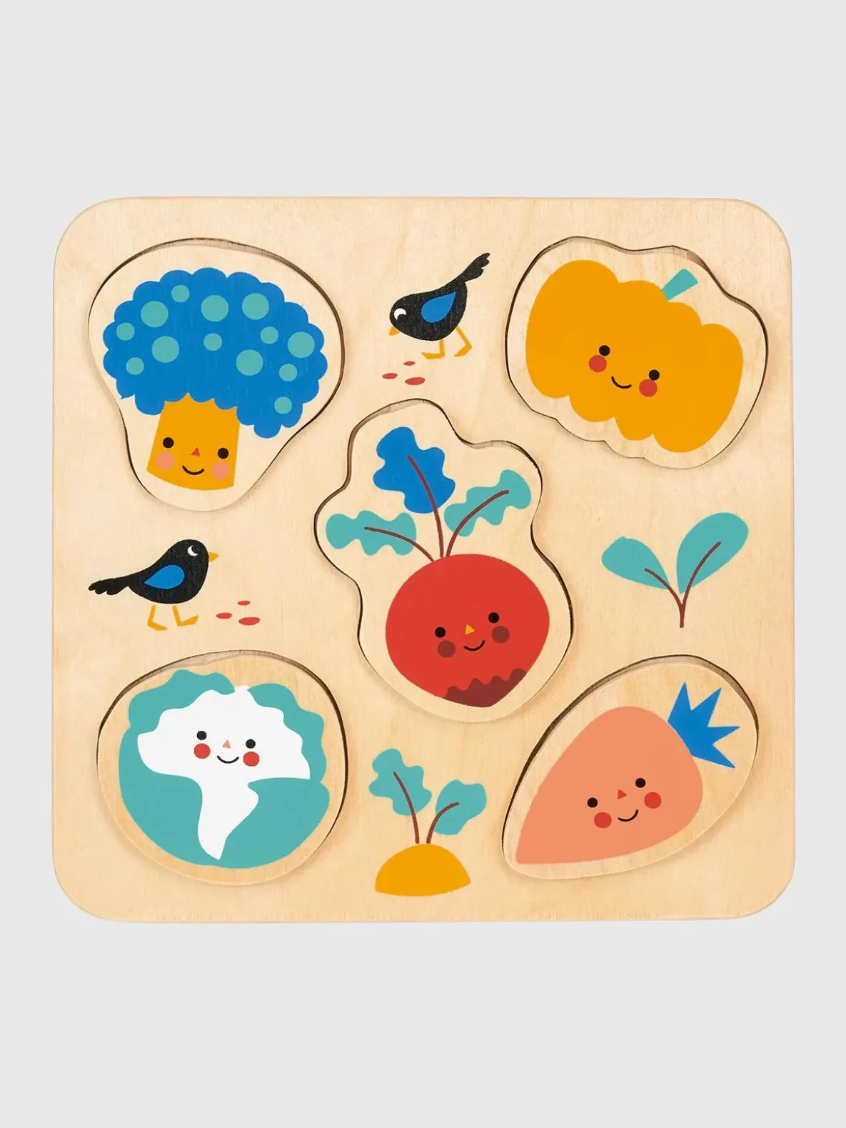 Puzzle Shape Recognition Toddler Toy Bundle