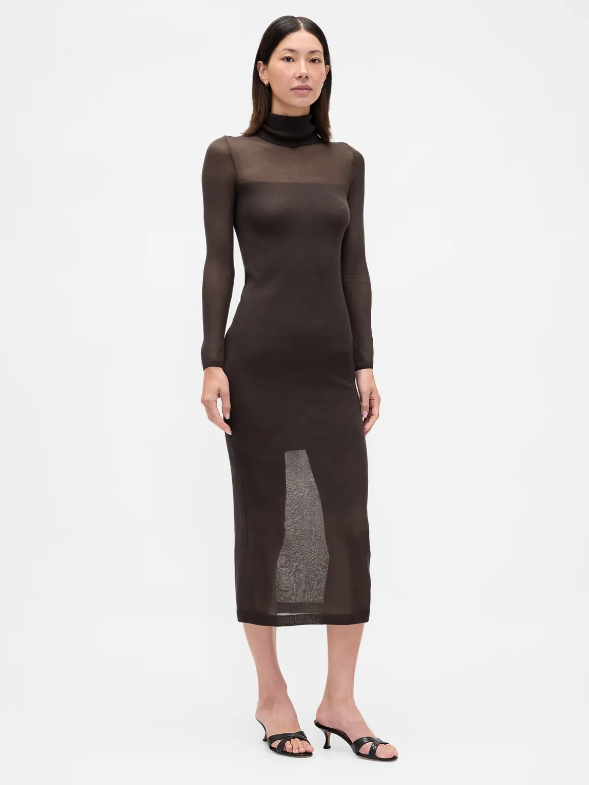 Sheer Turtleneck Maxi Sweater Dress