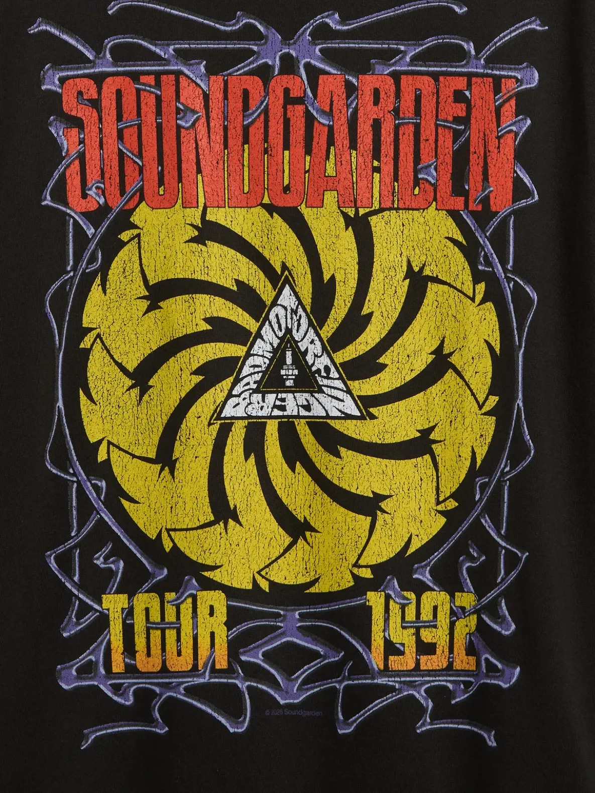 Soundgarden Heavyweight Crop Graphic T-Shirt