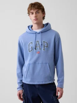 VintageSoft Oversized Americana Logo Hoodie